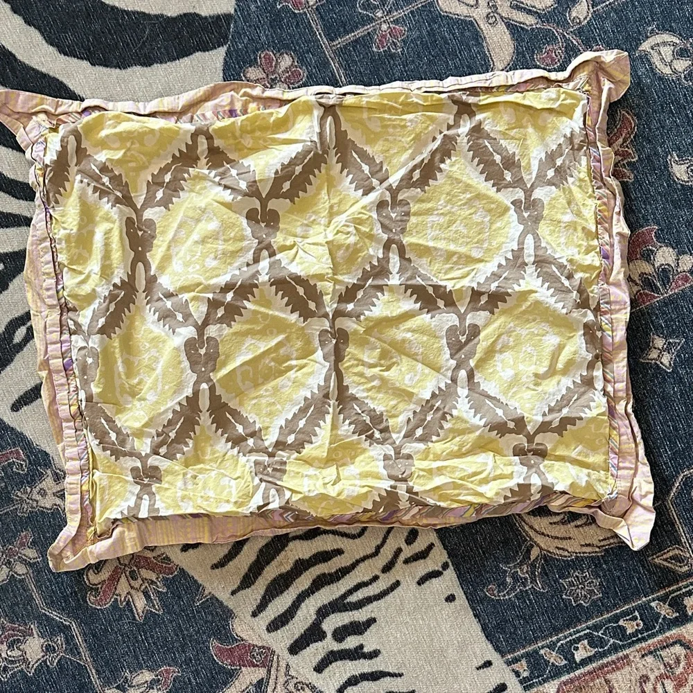 Plenty by Tracy Reese set of 3 European sham and 2 pillow cases